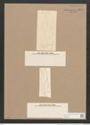 Pleurosigma tortuosum Cleve (de-Toni-Nr.: Genus 13, Species 1016) Zeichnungen Sammlung Grunow Nr. 2079 (NHMW-BOT-W0368943)